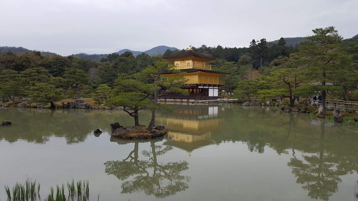 Golden temple Kyoto