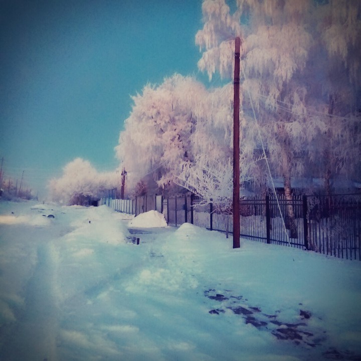 Мороз-художник