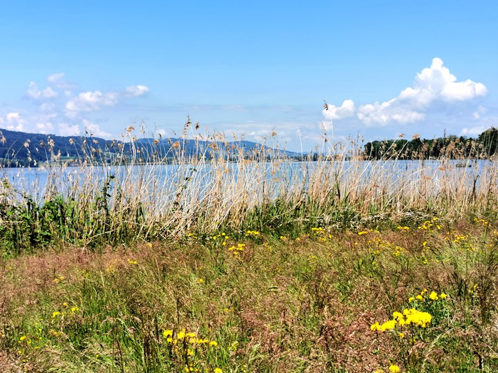 natur