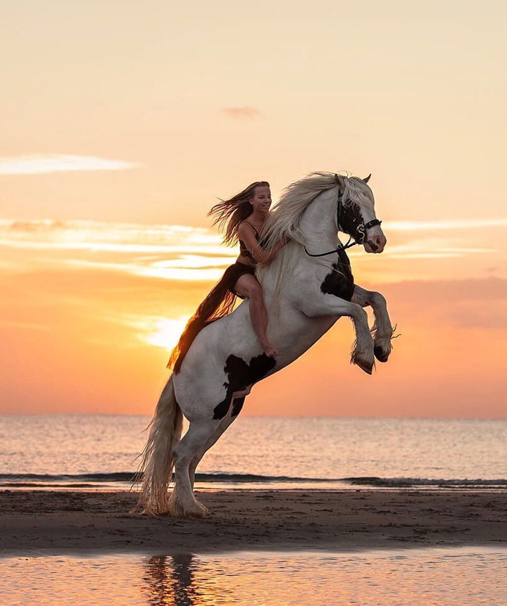 Beautiful shot