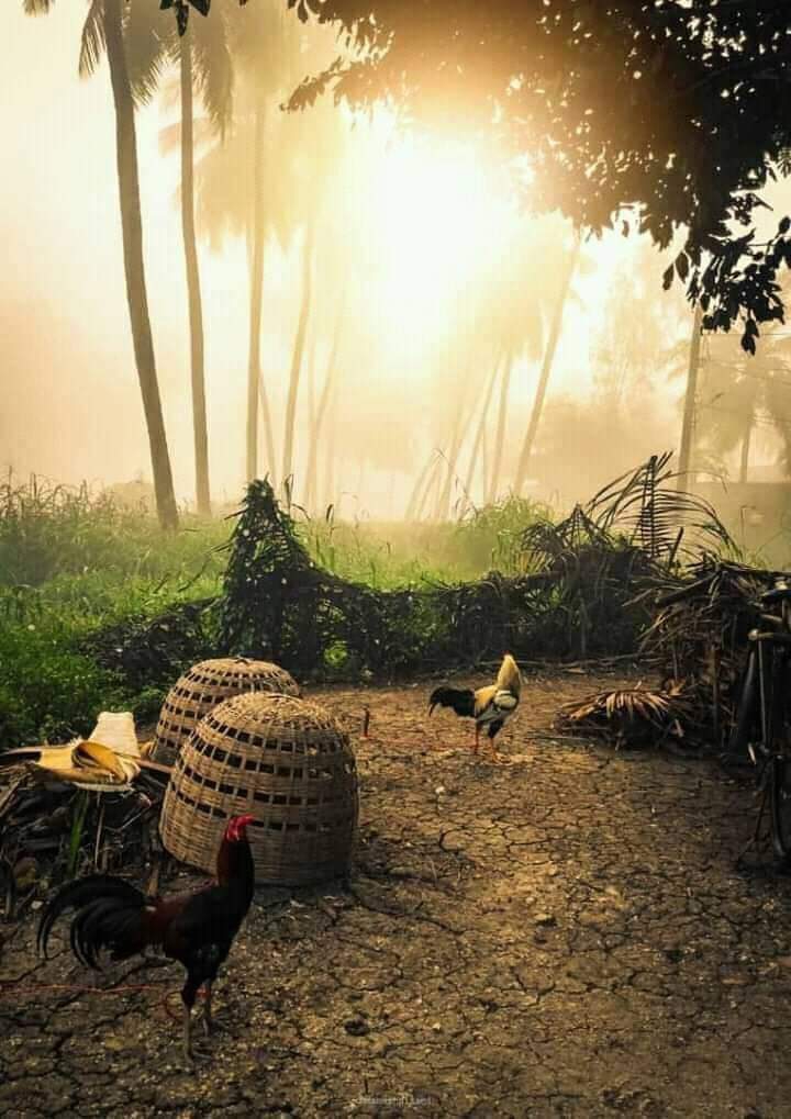 Winters early morning in a village India