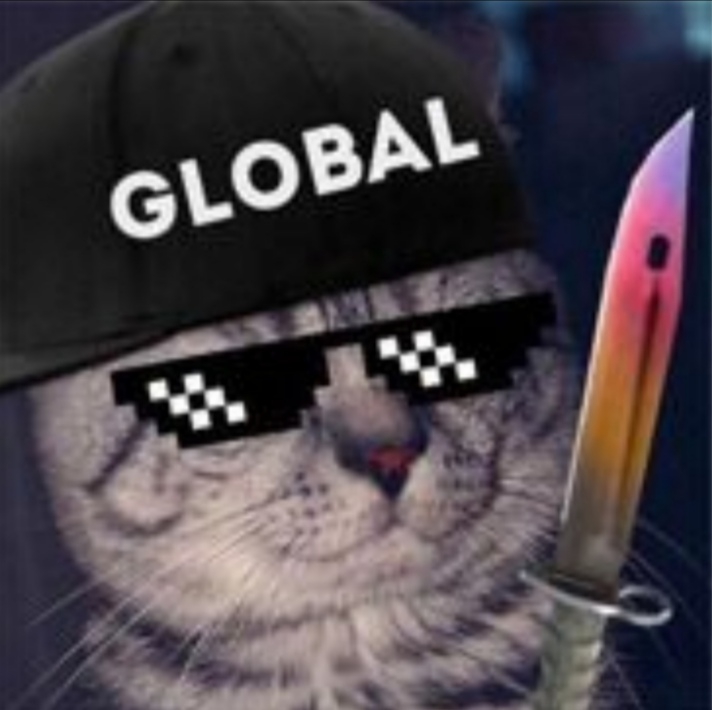 cat