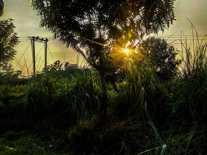 super photography