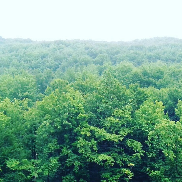 краса