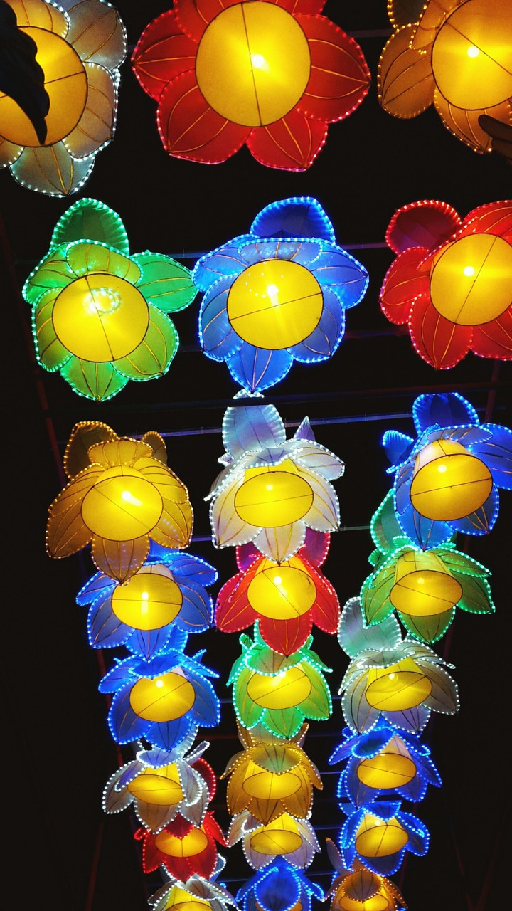 flowers