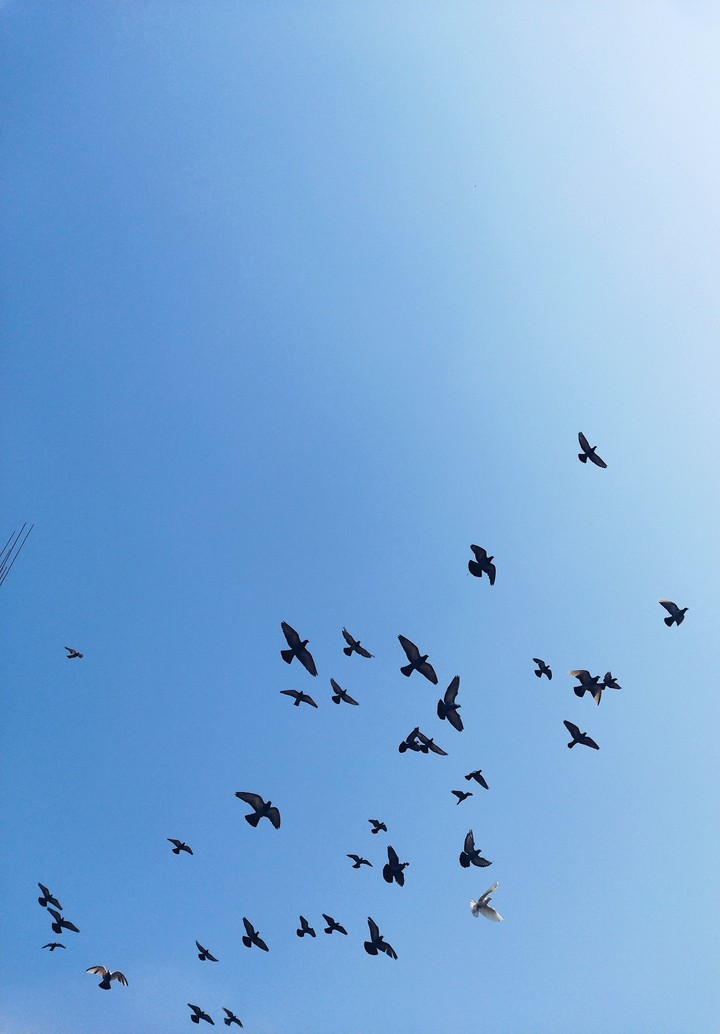 flying high with them.