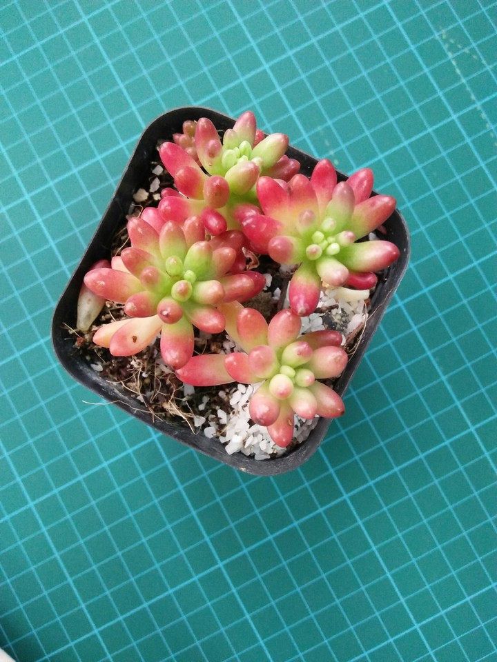My love tree~~!!