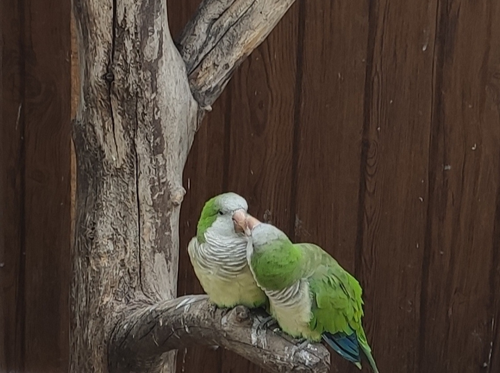 love is everywhere