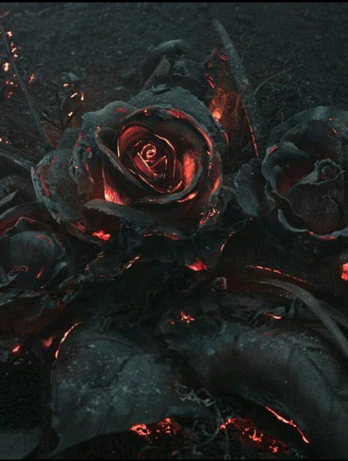 les roses noires