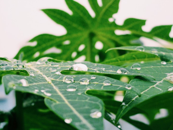 water droplets