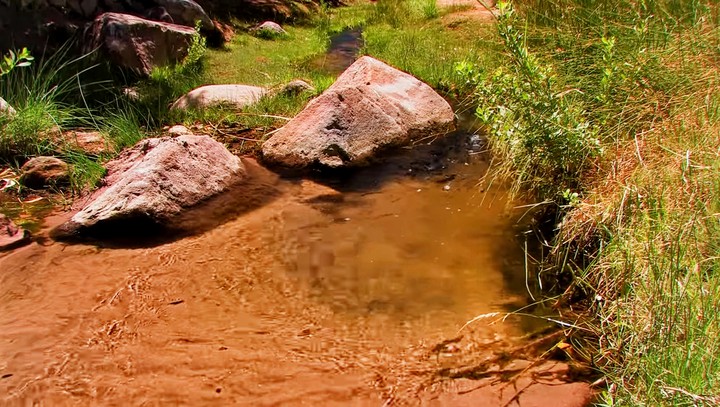 nature