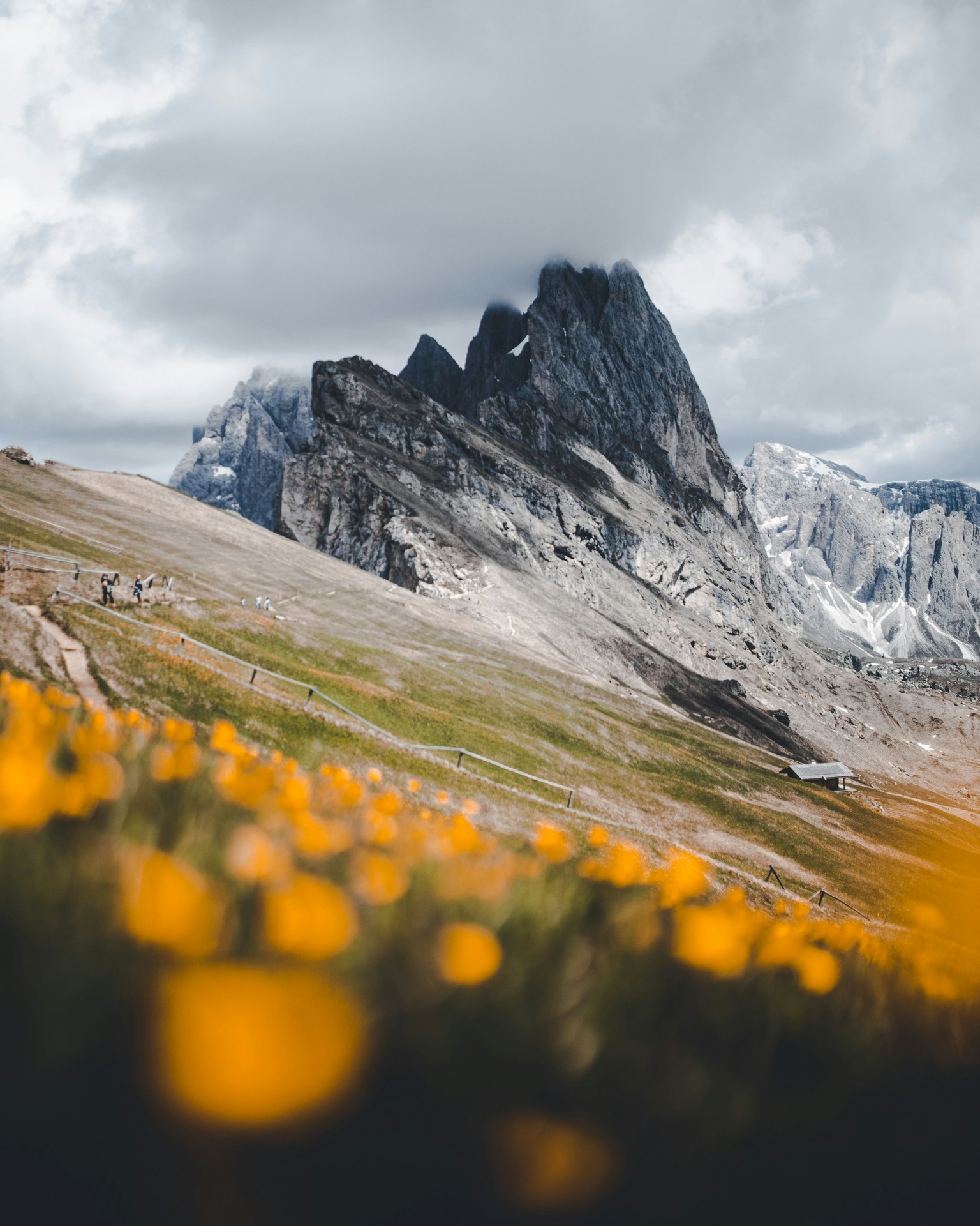 highland, terrain Hintergrundbilder