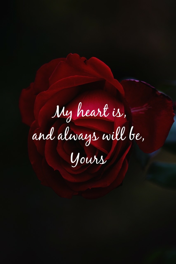 Happy Valentine's day