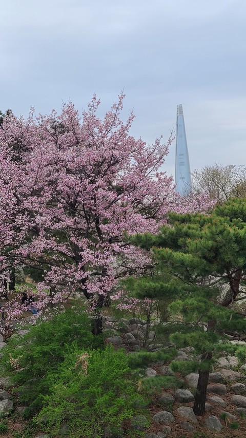 spring in the city