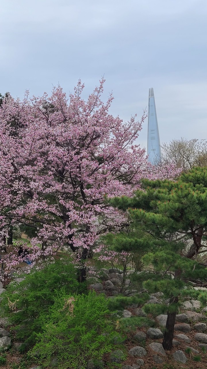 spring in the city