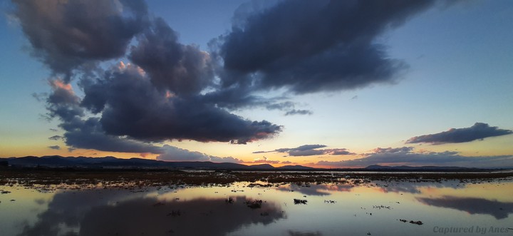 Sun sinking in water (Setif-Algeria)