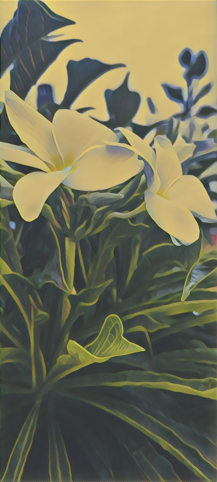 edited version#2