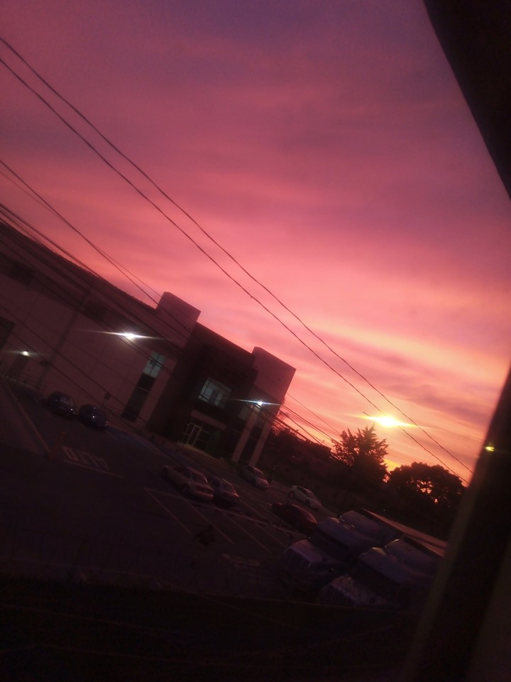 Amanecer rosa