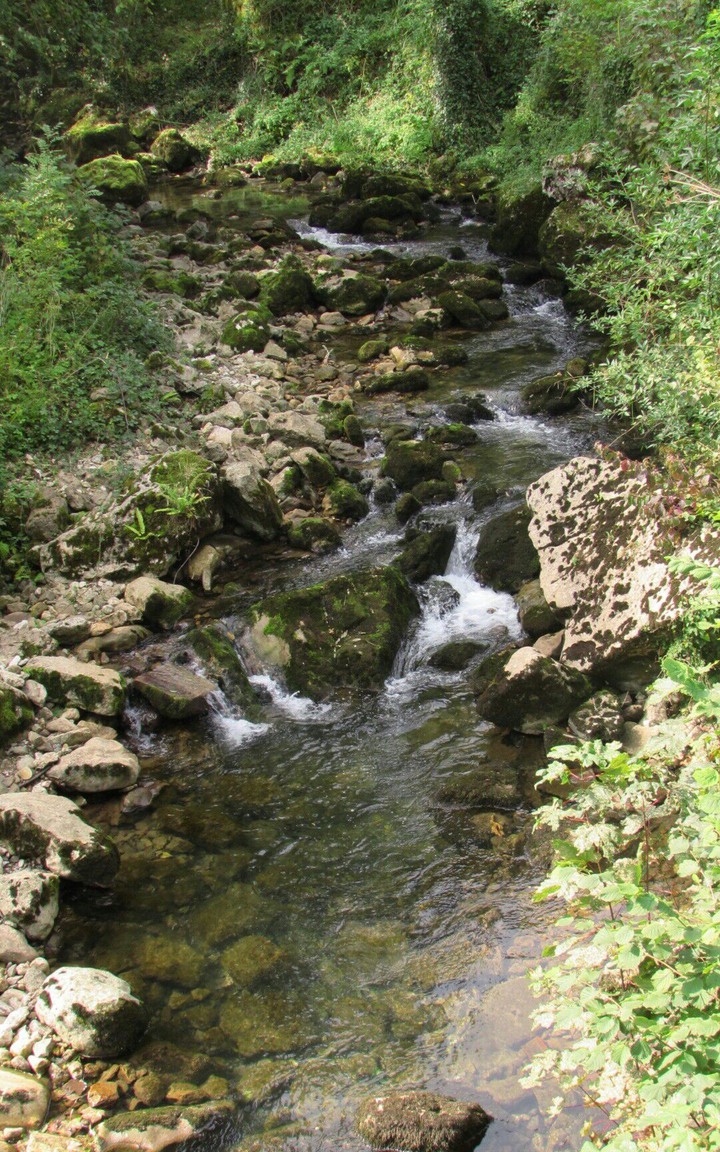 Río en Basílica de Covadonga