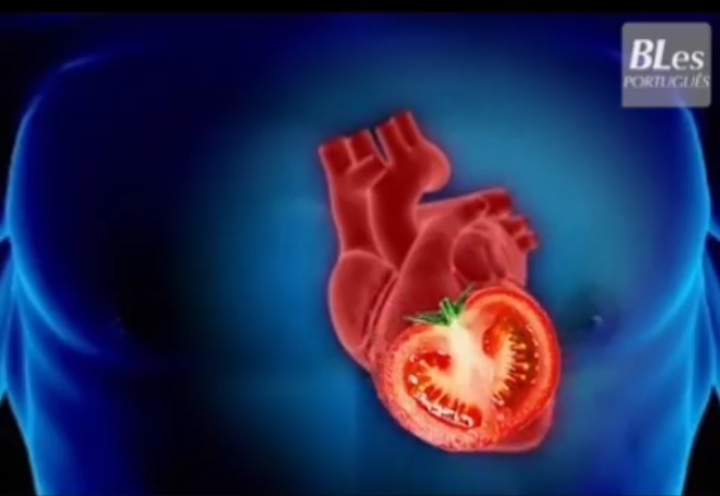 Heart