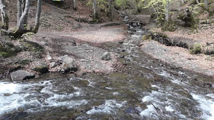 Transcarpathia