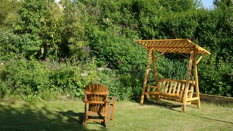 Garden in Summer