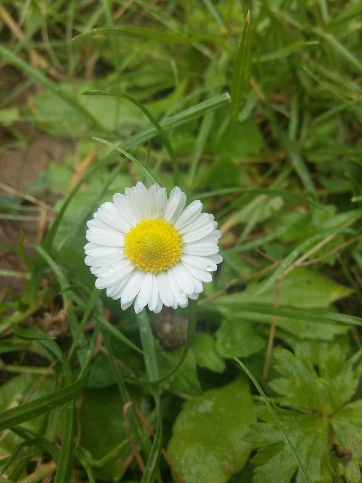 nature
