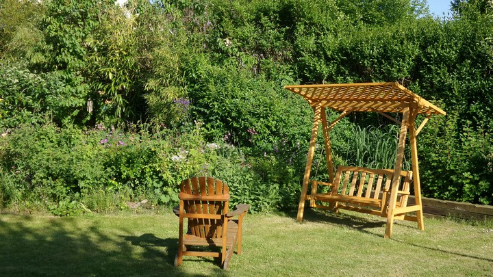 Garden in Summer
