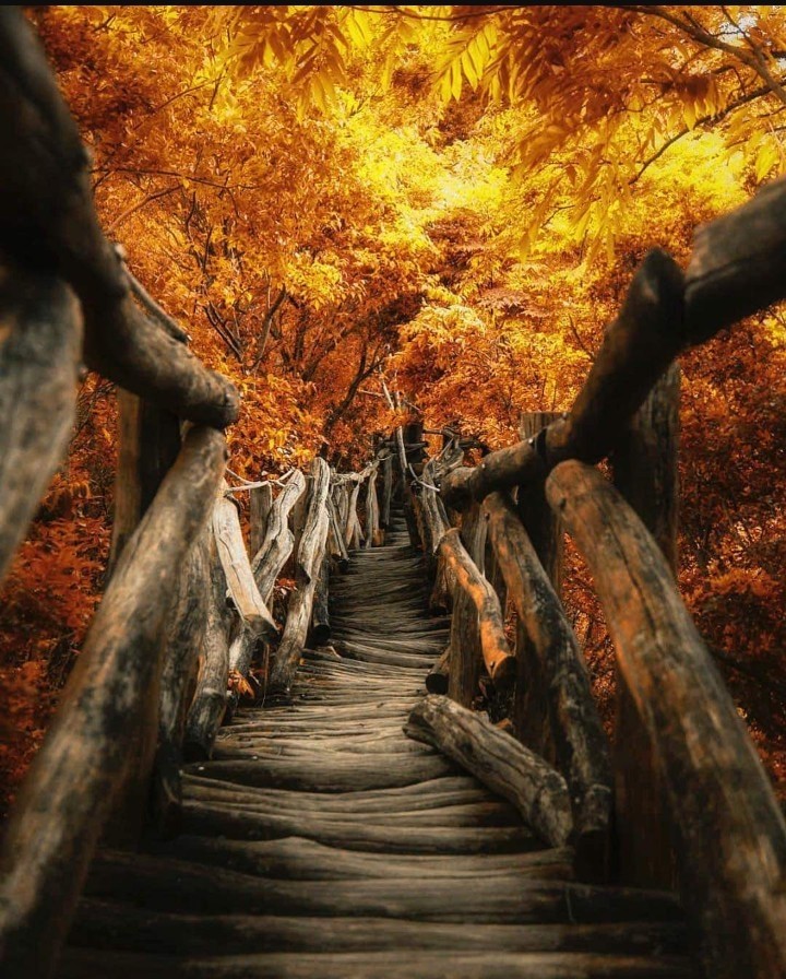 aaa