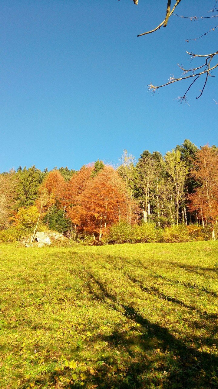 autunno