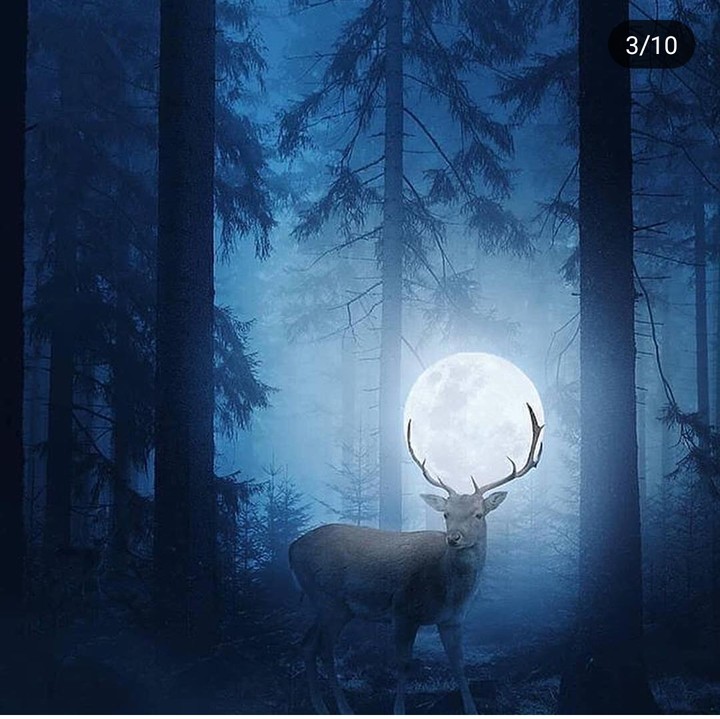 night...