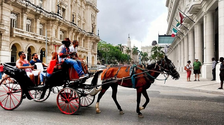 havana