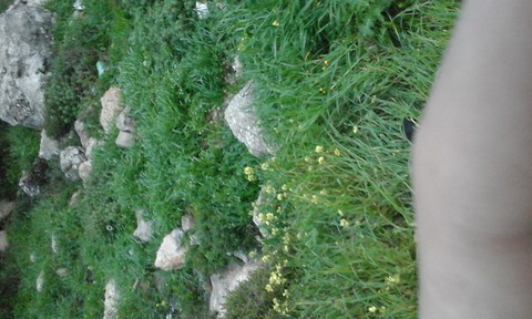 صوره