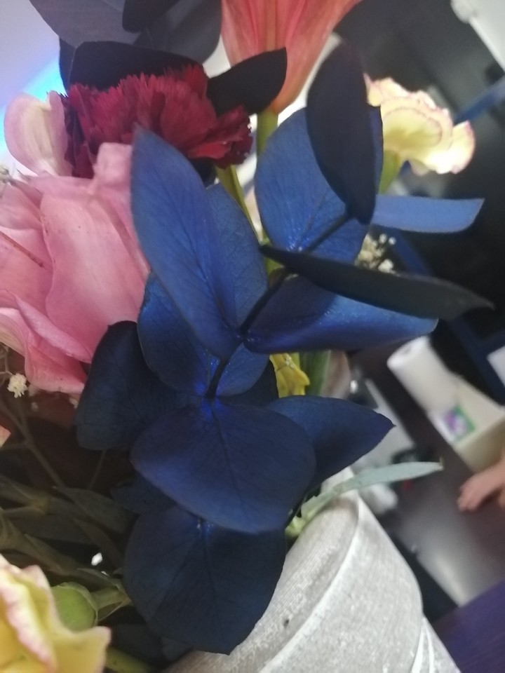 Blue leaves