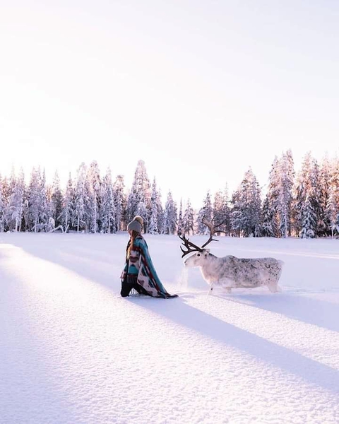 Snow beauty