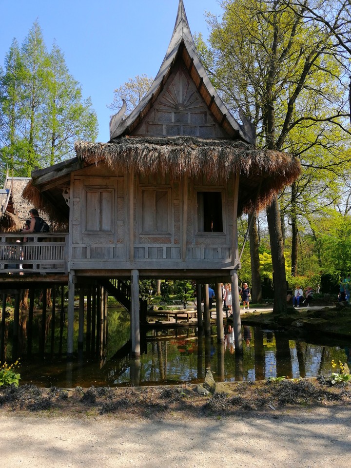 lovely cabin