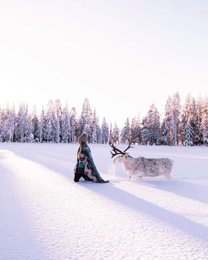Snow beauty