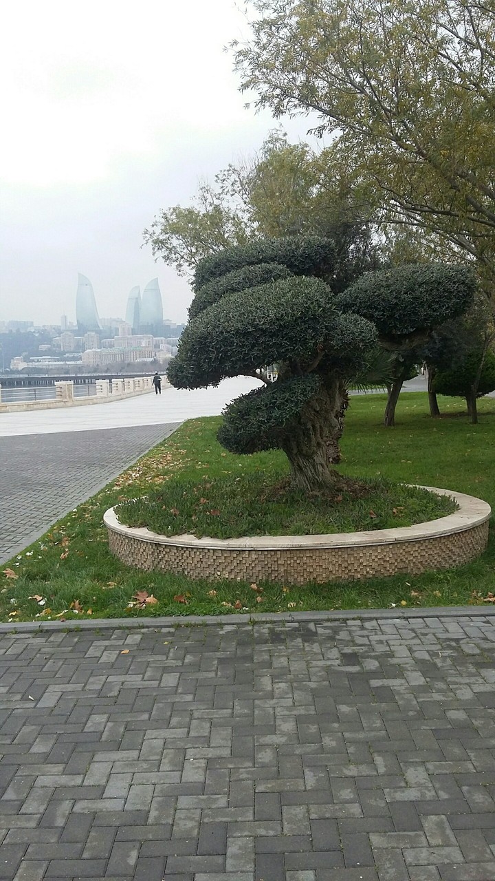 Azərbaycan Bakı