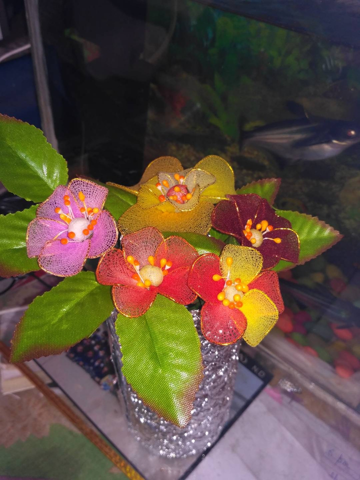 Stocking Flowers