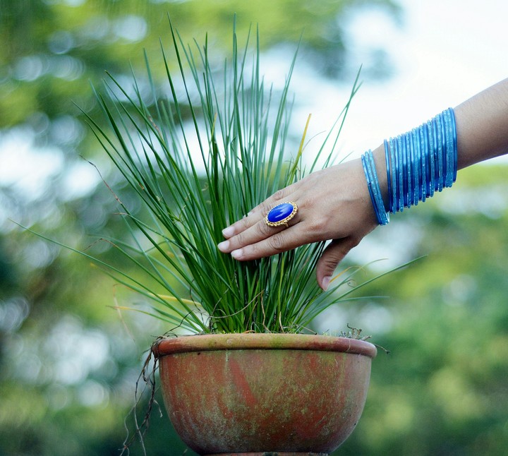 Green touch