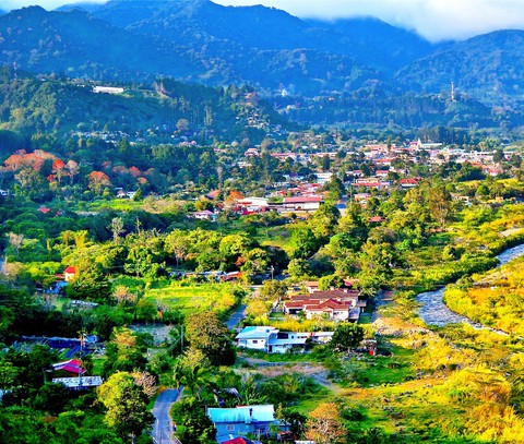VIEW NATURAL