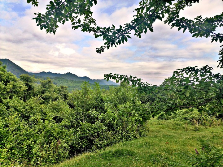 mountain