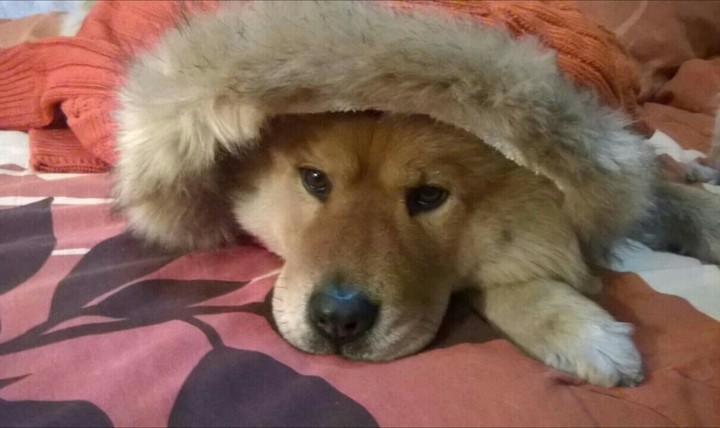 con un poco de frio