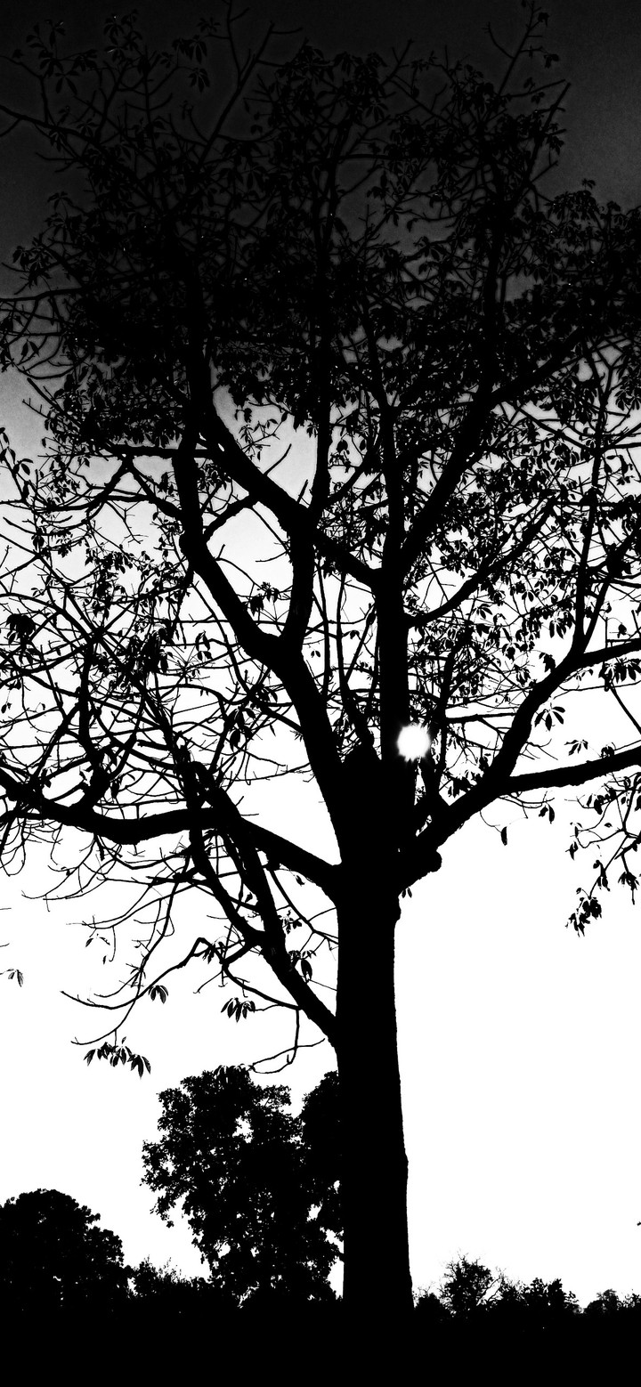 black and white