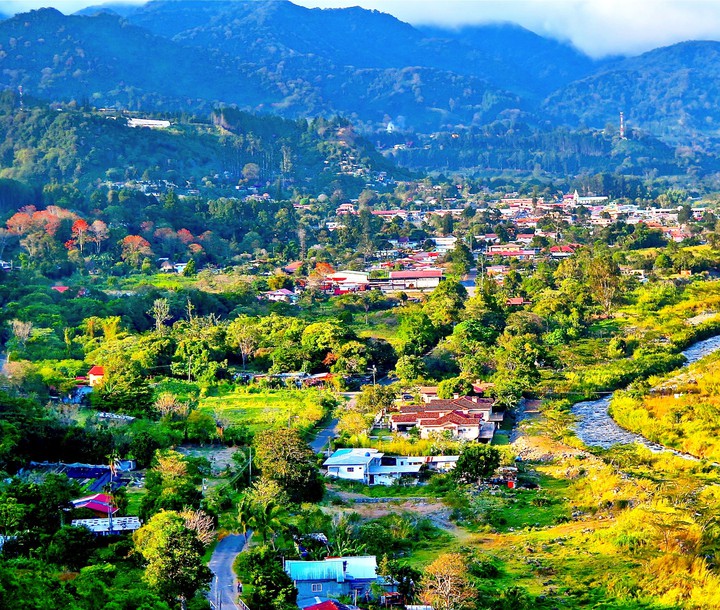 VIEW NATURAL