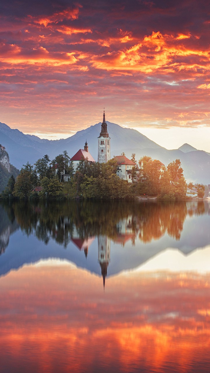 reflet