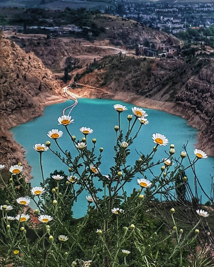 Beauty in Crimea