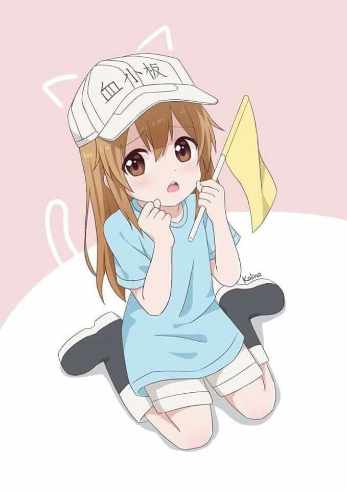 anime