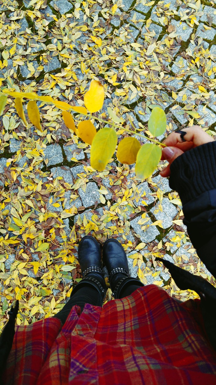 Fall