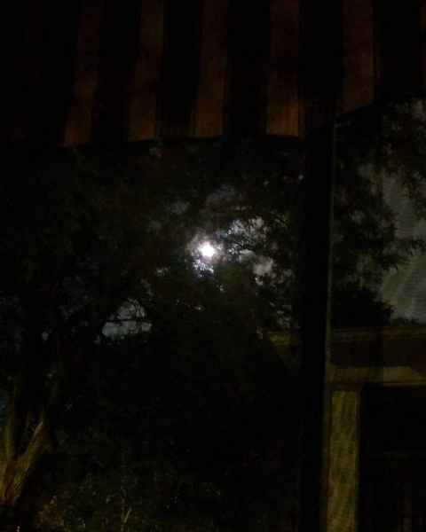 I see you Moon 22/6/21